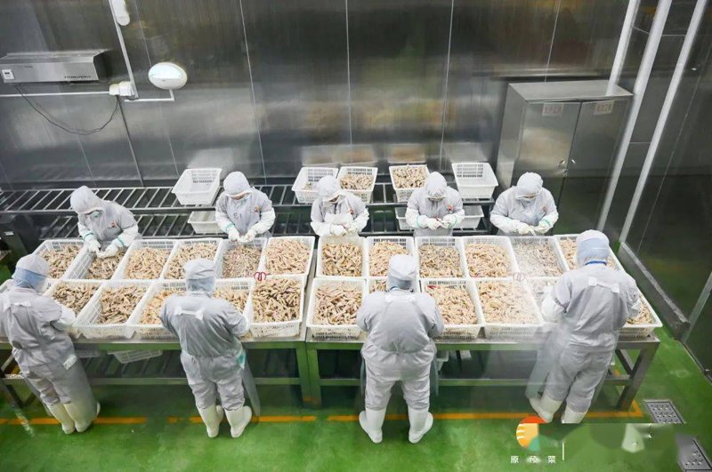 苏州食品科技:打造现代城市美食新名片